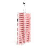 900W+900W 660nm&850nm Combo Bodylight (1)