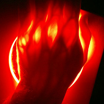 hand-over-red-light