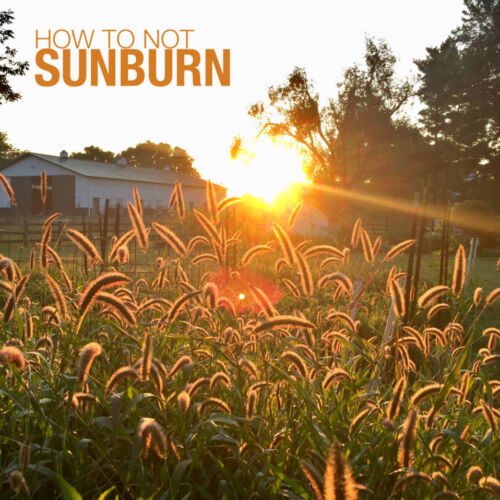 how-to-not-sunburn-958x1024